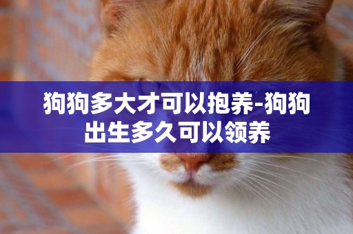 狗狗多大才可以抱養-狗狗出生多久可以領養