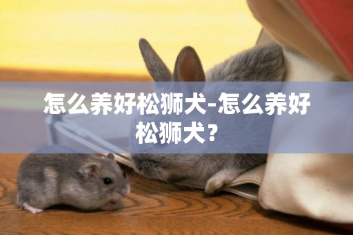 怎么養好松獅犬-怎么養好松獅犬？