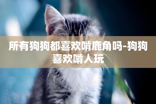 所有狗狗都喜歡啃鹿角嗎-狗狗喜歡啃人玩