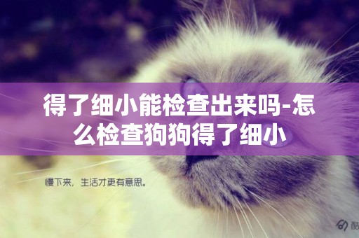 得了細小能檢查出來嗎-怎么檢查狗狗得了細小