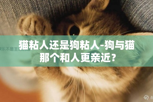 貓粘人還是狗粘人-狗與貓 那個和人更親近？