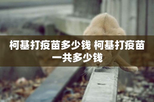 柯基打疫苗多少錢 柯基打疫苗一共多少錢