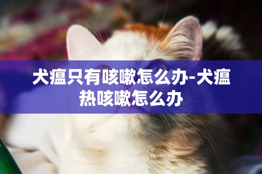 犬瘟只有咳嗽怎么辦-犬瘟熱咳嗽怎么辦
