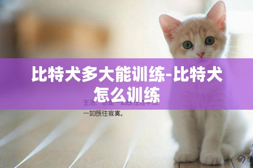 比特犬多大能訓練-比特犬怎么訓練