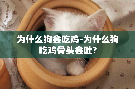 為什么狗會吃雞-為什么狗吃雞骨頭會吐?