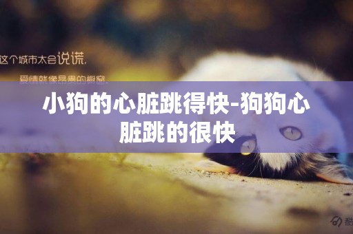 小狗的心臟跳得快-狗狗心臟跳的很快