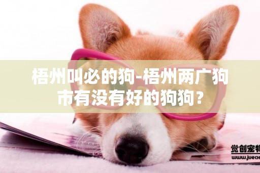 梧州叫必的狗-梧州兩廣狗市有沒有好的狗狗？