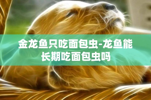 金龍魚只吃面包蟲-龍魚能長期吃面包蟲嗎