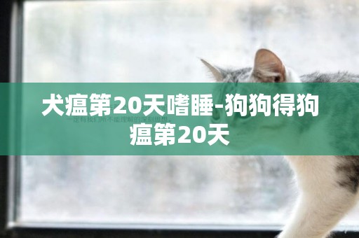犬瘟第20天嗜睡-狗狗得狗瘟第20天
