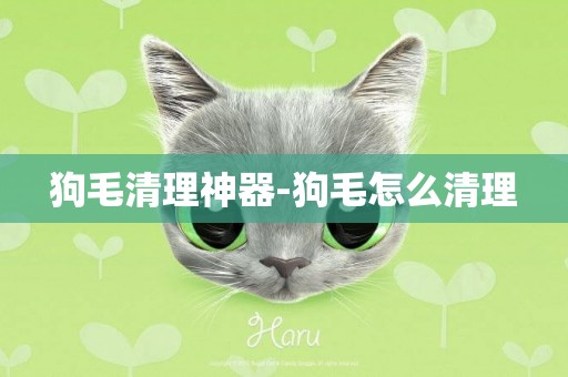 狗毛清理神器-狗毛怎么清理