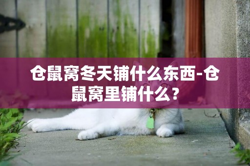 倉鼠窩冬天鋪什么東西-倉鼠窩里鋪什么？