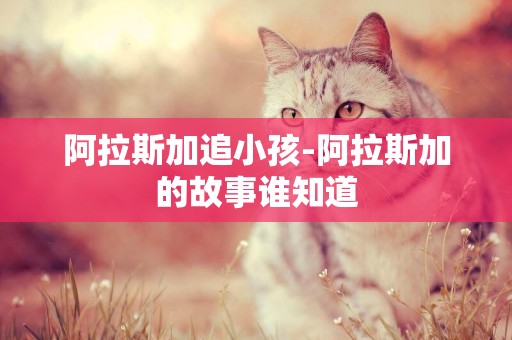 阿拉斯加追小孩-阿拉斯加的故事誰知道