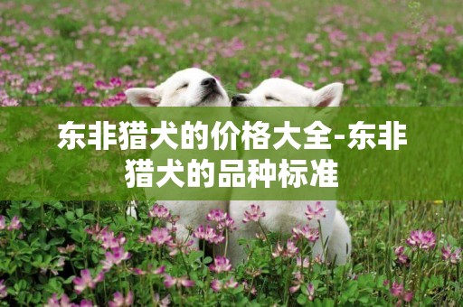東非獵犬的價格大全-東非獵犬的品種標準