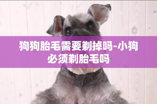 狗狗胎毛需要剃掉嗎-小狗必須剃胎毛嗎