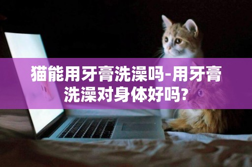 貓能用牙膏洗澡嗎-用牙膏洗澡對身體好嗎?