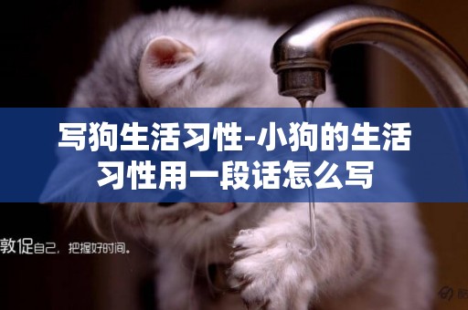 寫狗生活習性-小狗的生活習性用一段話怎么寫