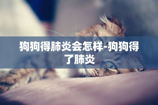 狗狗得肺炎會怎樣-狗狗得了肺炎
