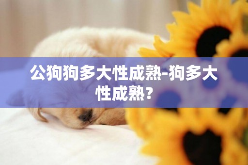 公狗狗多大性成熟-狗多大性成熟？