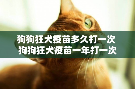 狗狗狂犬疫苗多久打一次 狗狗狂犬疫苗一年打一次