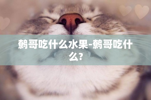 鷯哥吃什么水果-鷯哥吃什么?