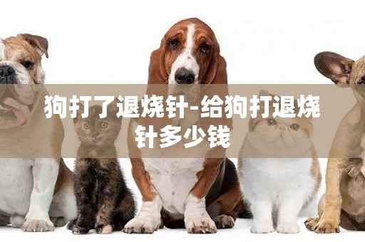 狗打了退燒針-給狗打退燒針多少錢