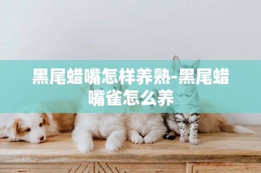 黑尾蠟嘴怎樣養熟-黑尾蠟嘴雀怎么養