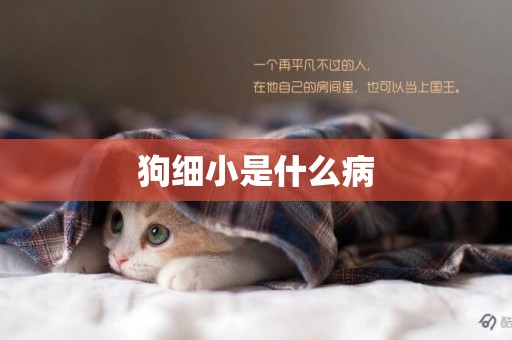 狗細小是什么病