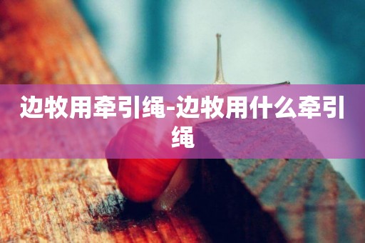 邊牧用牽引繩-邊牧用什么牽引繩