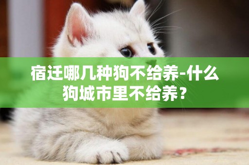 宿遷哪幾種狗不給養-什么狗城市里不給養？