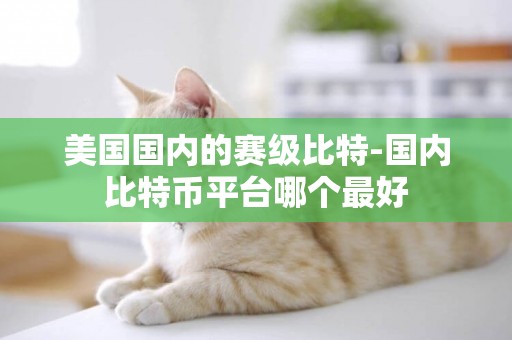 美國國內的賽級比特-國內比特幣平臺哪個最好