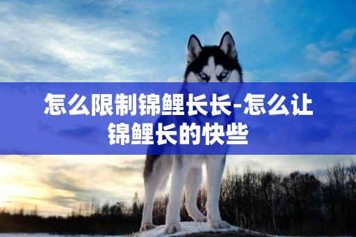 怎么限制錦鯉長長-怎么讓錦鯉長的快些
