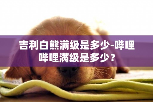 吉利白熊滿級是多少-嗶哩嗶哩滿級是多少？