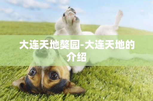 大連天地獒園-大連天地的介紹