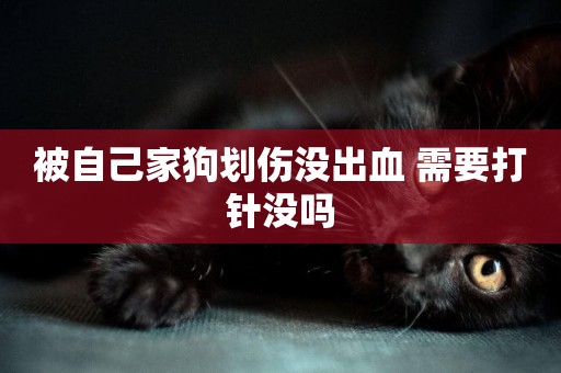 被自己家狗劃傷沒出血 需要打針沒嗎