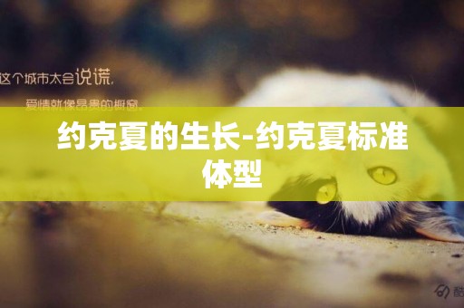 約克夏的生長-約克夏標準體型
