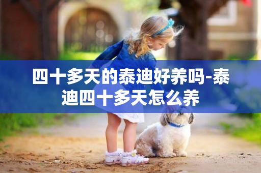 四十多天的泰迪好養嗎-泰迪四十多天怎么養