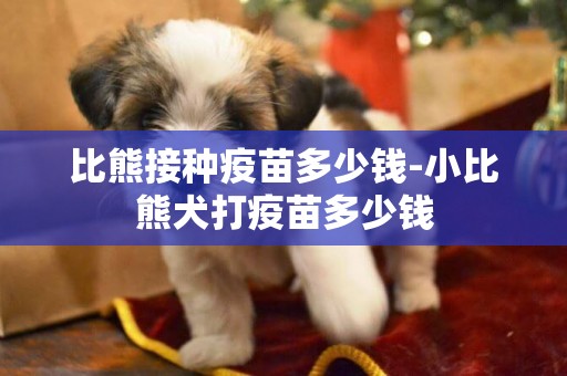 比熊接種疫苗多少錢-小比熊犬打疫苗多少錢