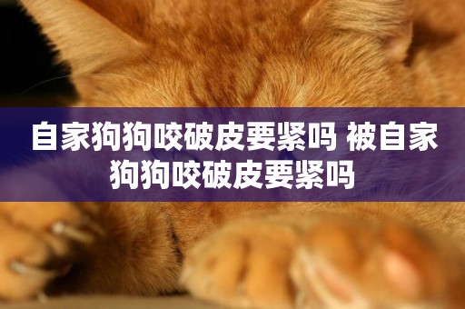 自家狗狗咬破皮要緊嗎 被自家狗狗咬破皮要緊嗎