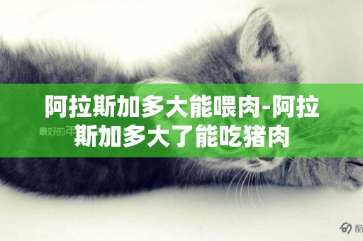 阿拉斯加多大能喂肉-阿拉斯加多大了能吃豬肉