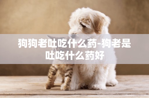 狗狗老吐吃什么藥-狗老是吐吃什么藥好