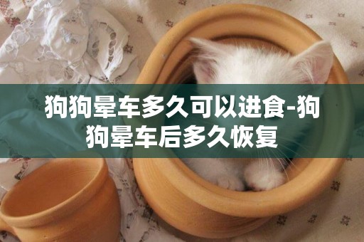 狗狗暈車多久可以進食-狗狗暈車后多久恢復
