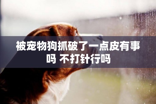 被寵物狗抓破了一點皮有事嗎 不打針行嗎