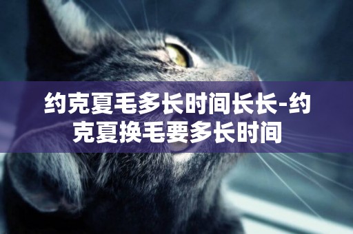 約克夏毛多長時間長長-約克夏換毛要多長時間