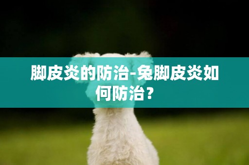 腳皮炎的防治-兔腳皮炎如何防治？