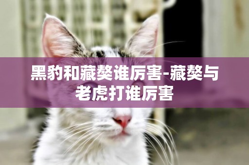 黑豹和藏獒誰厲害-藏獒與老虎打誰厲害