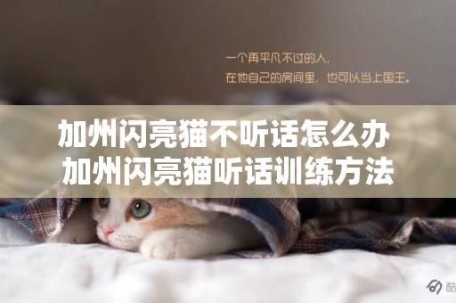 加州閃亮貓不聽話怎么辦 加州閃亮貓聽話訓練方法