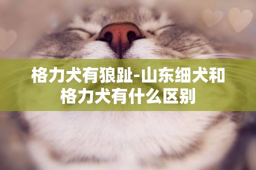 格力犬有狼趾-山東細犬和格力犬有什么區別