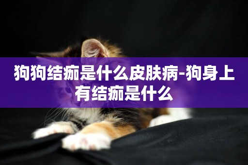 狗狗結痂是什么皮膚病-狗身上有結痂是什么