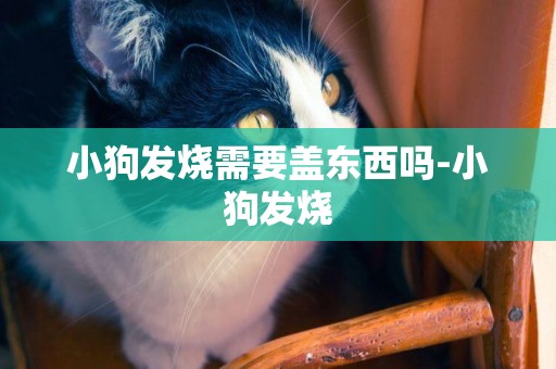 小狗發燒需要蓋東西嗎-小狗發燒