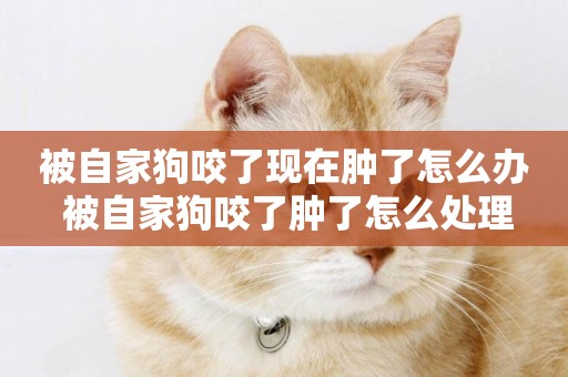 被自家狗咬了現在腫了怎么辦 被自家狗咬了腫了怎么處理